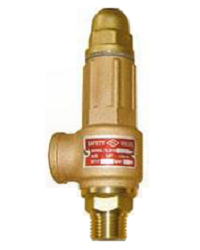 Sealed type safety valve